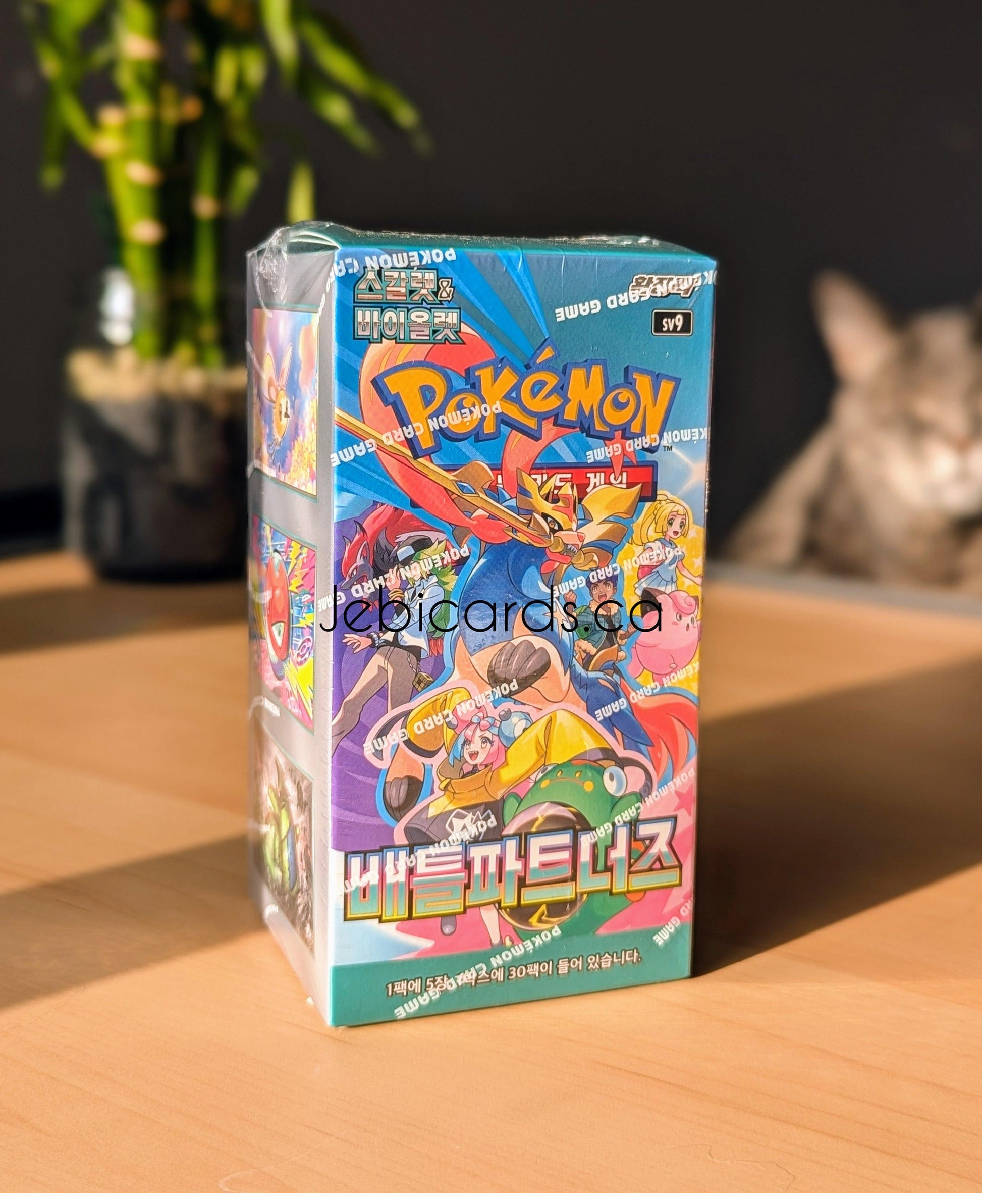 Pokemon Battle Partners Booster Box (Korean) – Jebi Cards