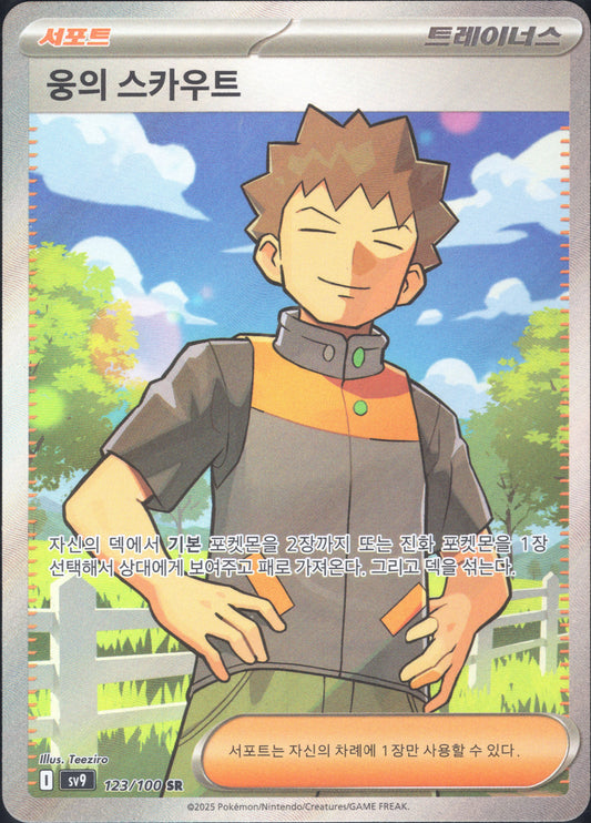 Brock's Scouting (123/100)[Battle Partners][KR]