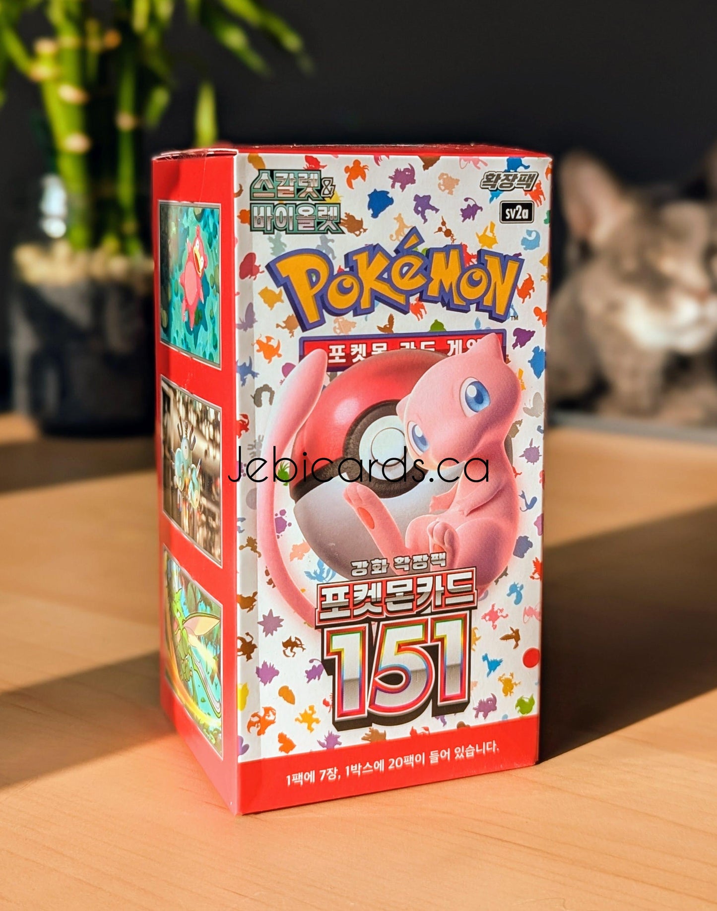 Pokemon 151 Booster Box (Korean) – Jebi Cards